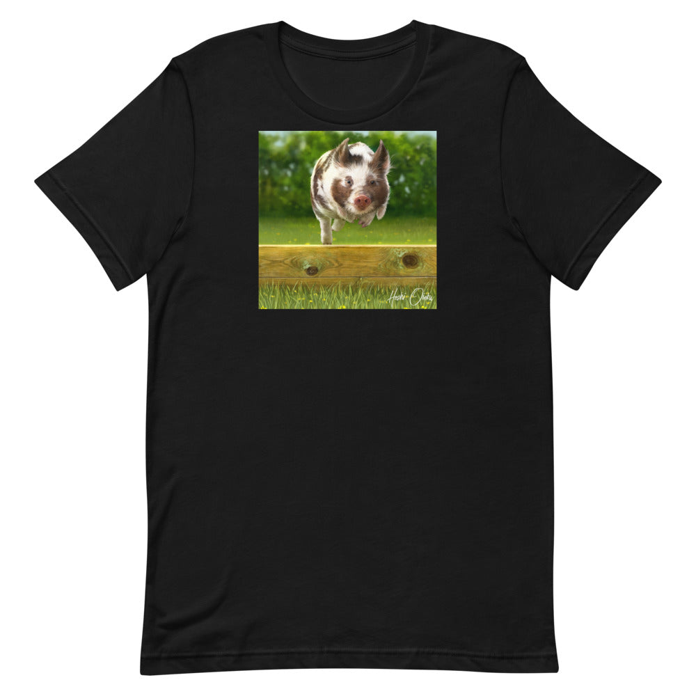 Hoshi - Art Edition – League of Pigs